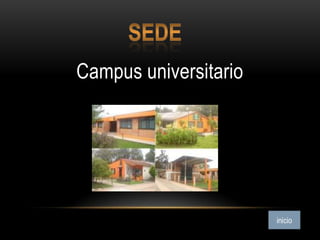 Campus universitario
 