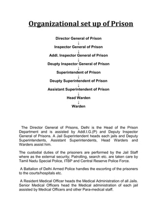 Organizational set up of Prison 
Director General of Prison 
↓ 
Inspector General of Prison 
↓ 
Addl. Inspector General of Prison 
↓ 
Deupty Inspector General of Prison 
↓ 
Superintendent of Prison 
↓ 
Deupty Superintendent of Prison 
↓ 
Assistant Superintendent of Prison 
↓ 
Head Warden 
↓ 
Warden 
The Director General of Prisons, Delhi is the Head of the Prison 
Department and is assisted by Addl.I.G.(P) and Deputy Inspector 
General of Prisons. A Jail Superintendent heads each jails and Deputy 
Superintendents, Assistant Superintendents, Head Warders and 
Warders assist him. 
The custodial duties of the prisoners are performed by the Jail Staff 
where as the external security; Patrolling, search etc. are taken care by 
Tamil Nadu Special Police, ITBP and Central Reserve Police Force. 
A Battalion of Delhi Armed Police handles the escorting of the prisoners 
to the courts/hospitals etc. 
A Resident Medical Officer heads the Medical Administration of all Jails. 
Senior Medical Officers head the Medical administration of each jail 
assisted by Medical Officers and other Para-medical staff. 
 