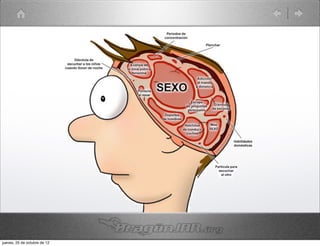 jueves, 25 de octubre de 12
 