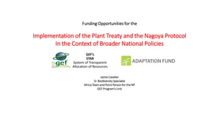Funding Opportunities for the
Implementation of the Plant Treaty and the Nagoya Protocol
In the Context of Broader National Policies
Jaime Cavelier
Sr. Biodiversity Specialist
Africa Team and Point Person for the NP
GEF Program’s Unit
GEF’s
STAR
System of Transparent
Allocation of Resources
 