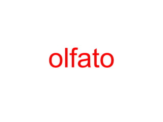 olfato
 