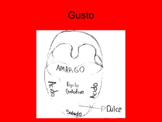 Gusto 