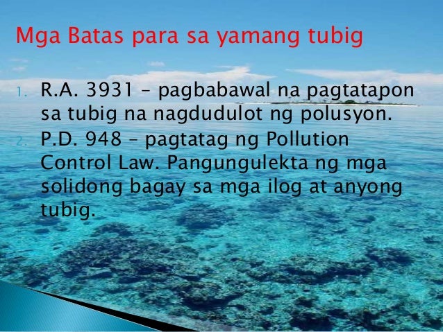 Halimbawa Ng Sanaysay Tungkol Sa Yamang Dagat