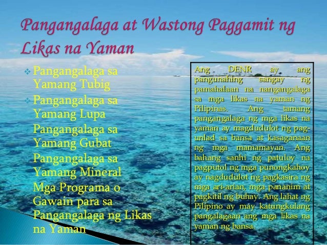 Mga Batas Sa Pangangalaga Sa Yamang Tubig By Kristina Reyes Mobile 8541