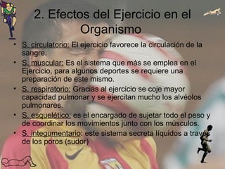 2. Efectos del Ejercicio en el Organismo  S. circulatorio:  El ejercicio favorece la circulación de la sangre.  S. muscular:  Es el sistema que más se emplea en el Ejercicio, para algunos deportes se requiere una preparación de este mismo. S. respiratorio:  Gracias al ejercicio se coje mayor capacidad pulmonar y se ejercitan mucho los alvéolos pulmonares. S. esquelético:  es el encargado de sujetar todo el peso y de coordinar los movimientos junto con los músculos. S. integumentario : este sistema secreta líquidos a través de los poros (sudor) 