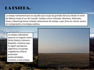 LA ESTEPA.
La estepa norteamericana es aquella que ocupa las grandes llanuras desde el norte
de México hasta el sur de Canadá. Estados como Colorado, Montana, Nebraska,
Texas y Wyoming tienen amplias extensiones de estepa, cuyo clima es menos severo
en comparación a la estepa asiática.

La estepa subtropical
aparece en lugares como
Sicilia (Italia) o Almería
(España), mientras que
la región pampeana
argentina y la pampa
magallánica chilena
presentan
particularidades
similares a esta estepa.

 