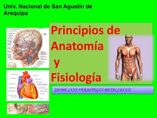 Univ. Nacional de San Agustín de
Arequipa

Principios de
Anatomía
y
Fisiología
JAIME LUIS VERASTEGUI BETALLELUZ

 