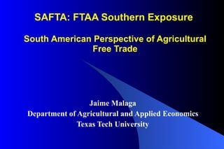 SAFTA: FTAA Southern Exposure  South American Perspective of Agricultural Free Trade Jaime Malaga Department of Agricultural and Applied Economics Texas Tech University 