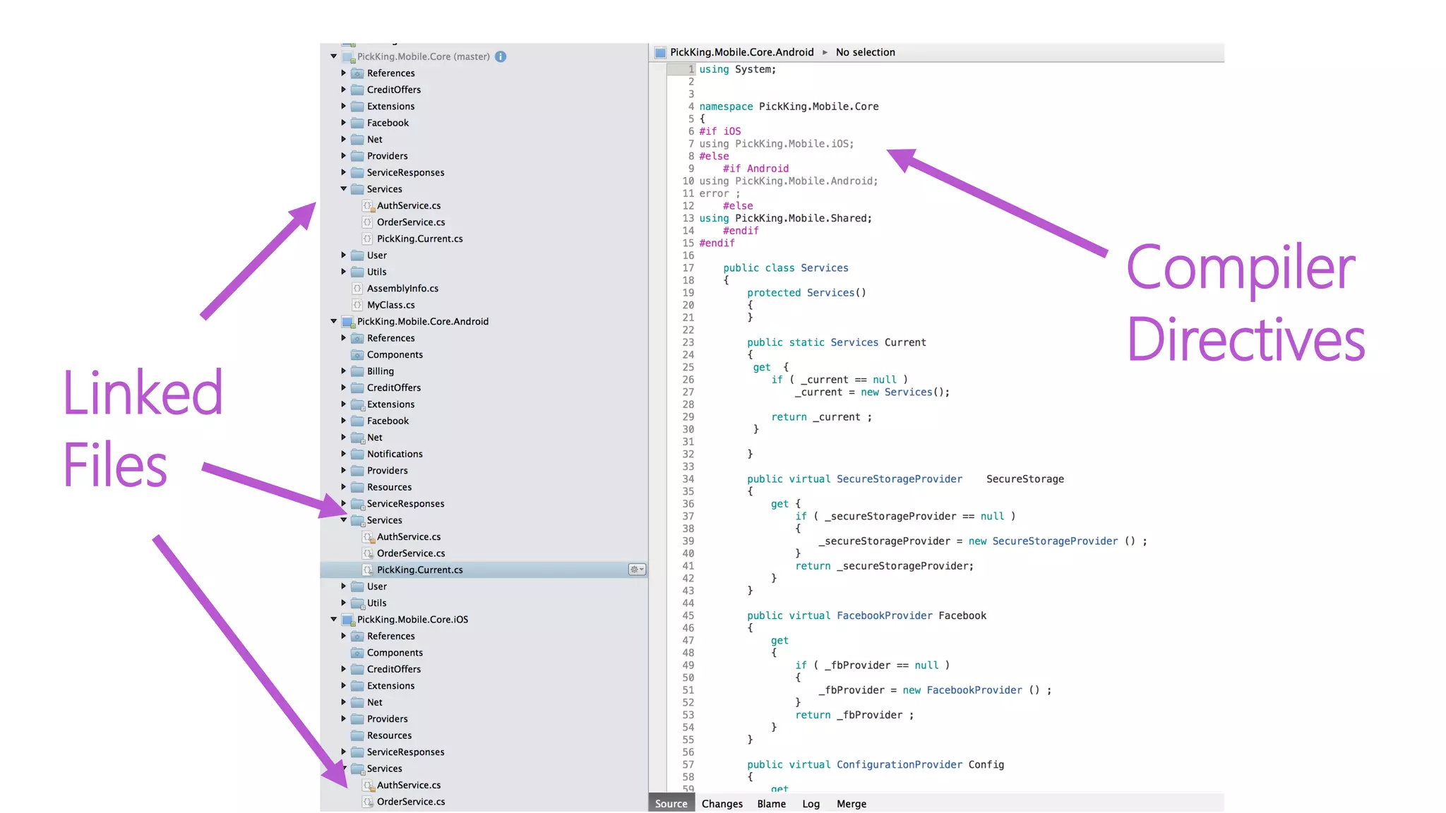 Linked Files Compiler Directives 