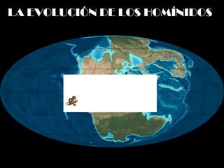LA EVOLUCIÓN DE LOS HOMÍNIDOS

 