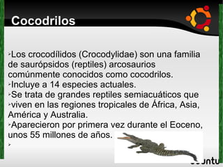 Cocodrilos
➢Los crocodílidos (Crocodylidae) son una familia
de saurópsidos (reptiles) arcosaurios
comúnmente conocidos como cocodrilos.
➢Incluye a 14 especies actuales.
➢Se trata de grandes reptiles semiacuáticos que
➢viven en las regiones tropicales de África, Asia,
América y Australia.
➢Aparecieron por primera vez durante el Eoceno,
unos 55 millones de años.
➢
 