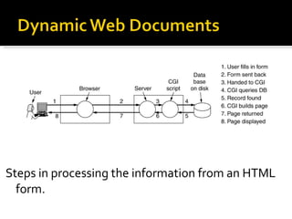 Steps in processing the information from an HTML form. 