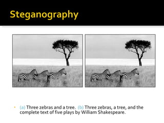 (a)  Three zebras and a tree.  (b)  Three zebras, a tree, and the complete text of five plays by William Shakespeare. 