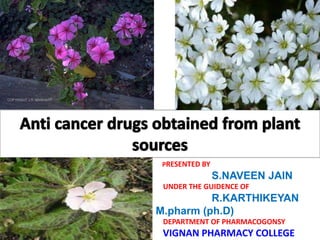 PRESENTED BY 
S.NAVEEN JAIN 
UNDER THE GUIDENCE OF 
R.KARTHIKEYAN 
M.pharm (ph.D) 
DEPARTMENT OF PHARMACOGONSY 
VIGNAN PHARMACY COLLEGE 
 