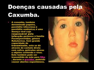 Doenças causadas pela Caxumba. A caxumba, também denominada papeira, parotidite infecciosa e parotidite endêmica; é uma doença viral cujo  responsável pela infecção  pertence à família Paramyxoviridae, gênero Rubulavírus. Com grande capacidade de  transmissão , esta se dá através do contato direto com saliva, gotículas aéreas e objetos contendo o vírus. Este também pode ser transmitido de mãe para  filho , durante a  gravidez , podendo causar abortos espontâneos.  