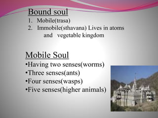 Bound soul
1. Mobile(trasa)
2. Immobile(sthavana) Lives in atoms
and vegetable kingdom
Mobile Soul
•Having two senses(worms)
•Three senses(ants)
•Four senses(wasps)
•Five senses(higher animals)
 