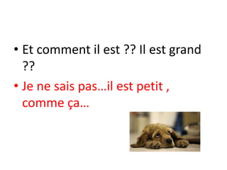 • Et comment il est ?? Il est grand
??
• Je ne sais pas…il est petit ,
comme ça…
 