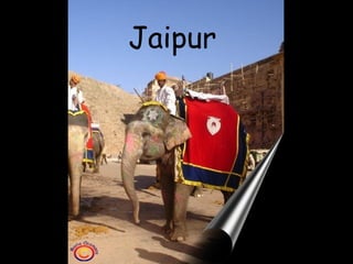 Jaipur

 