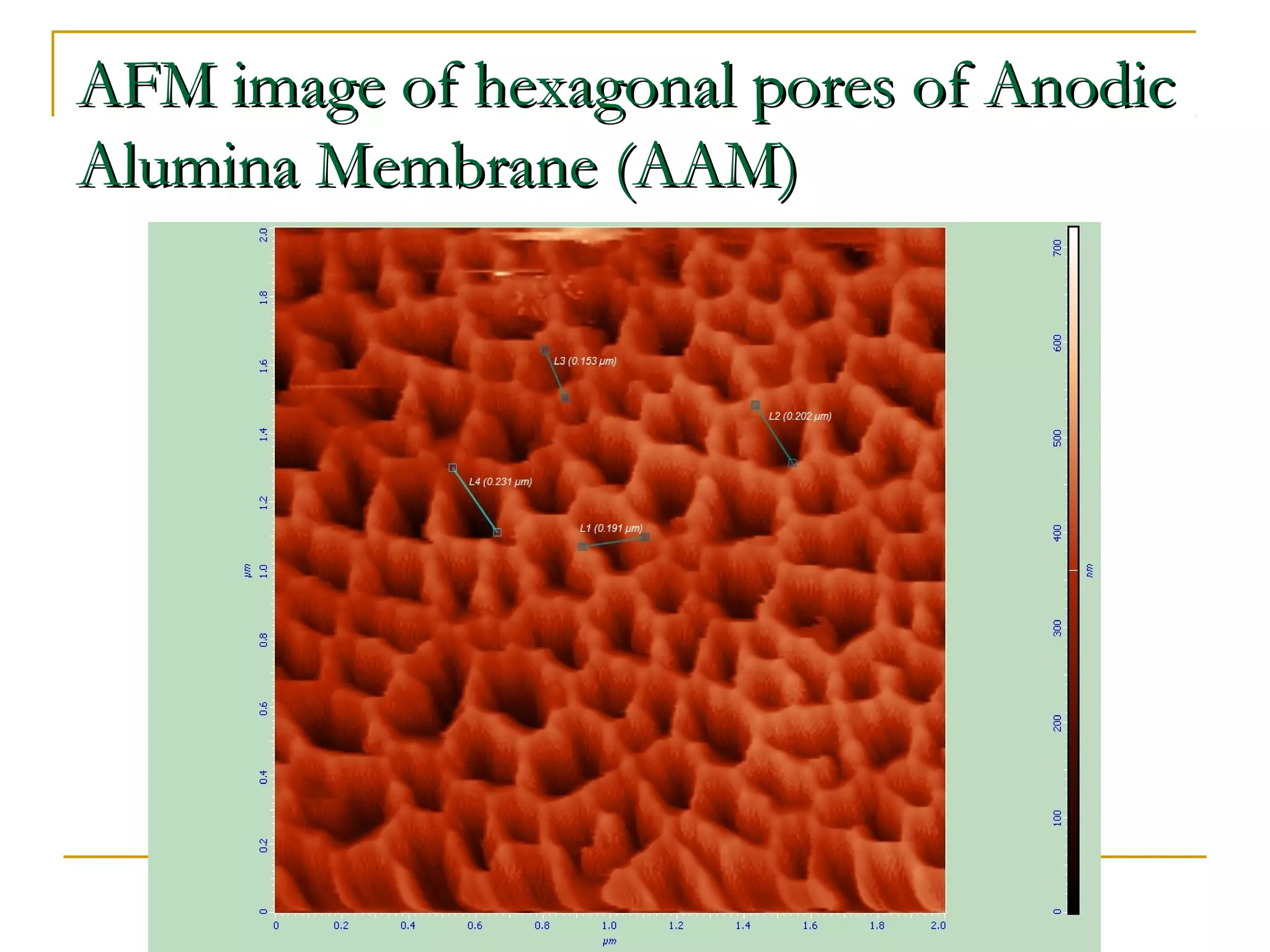 AAFFMM iimmaaggee ooff hheexxaaggoonnaall ppoorreess ooff AAnnooddiicc 
AAlluummiinnaa MMeemmbbrraannee ((AAAAMM)) 
 