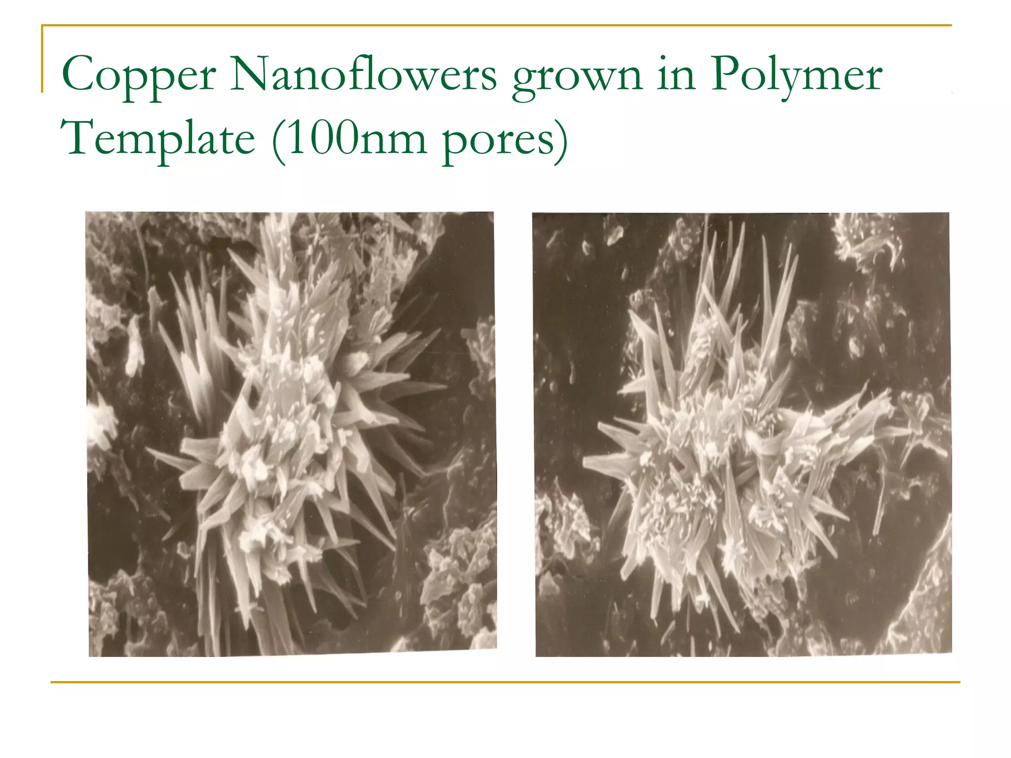 Copper Nanoflowers grown in Polymer 
Template (100nm pores) 
 