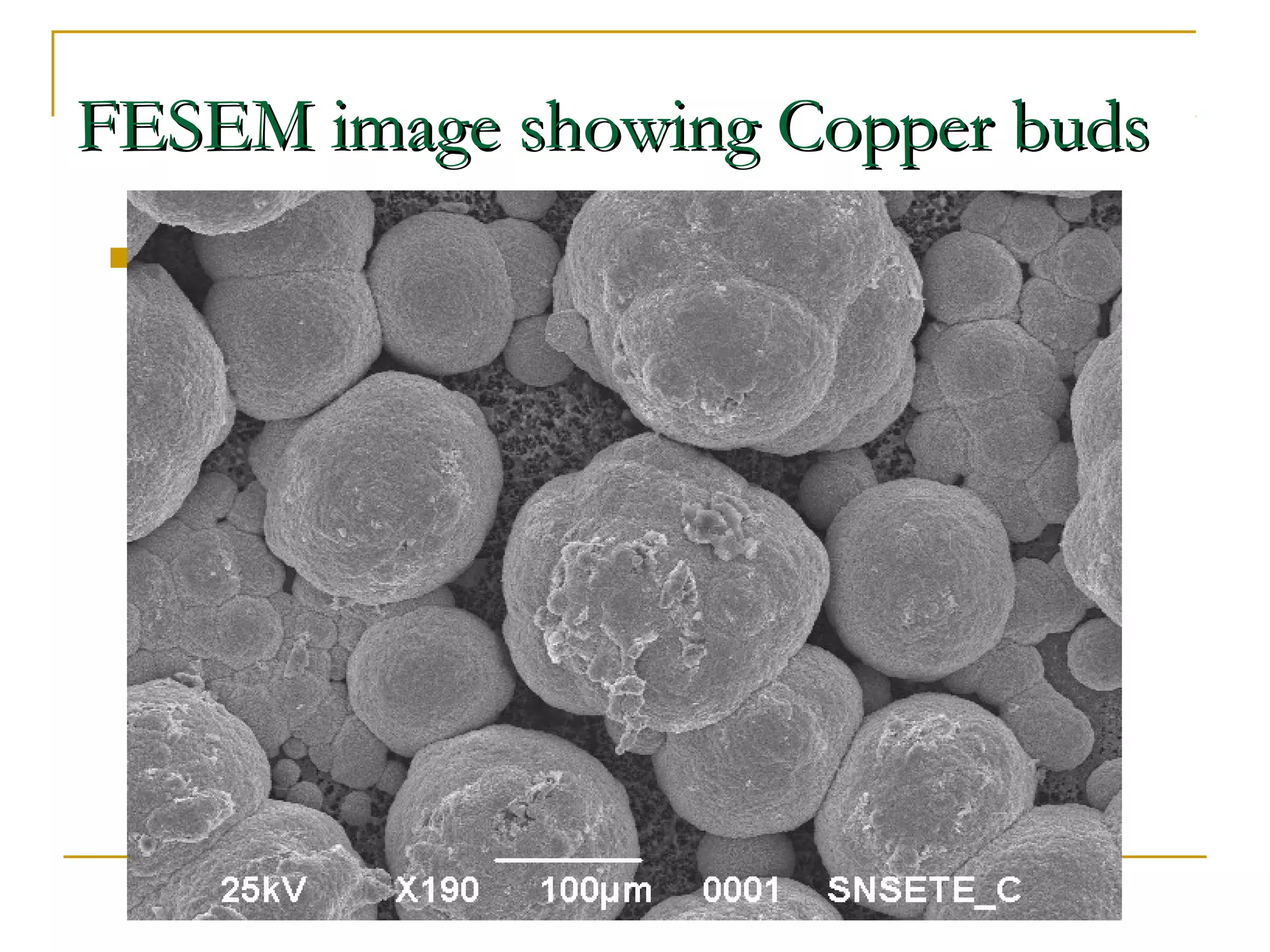 FFEESSEEMM iimmaaggee sshhoowwiinngg CCooppppeerr bbuuddss 
 
 