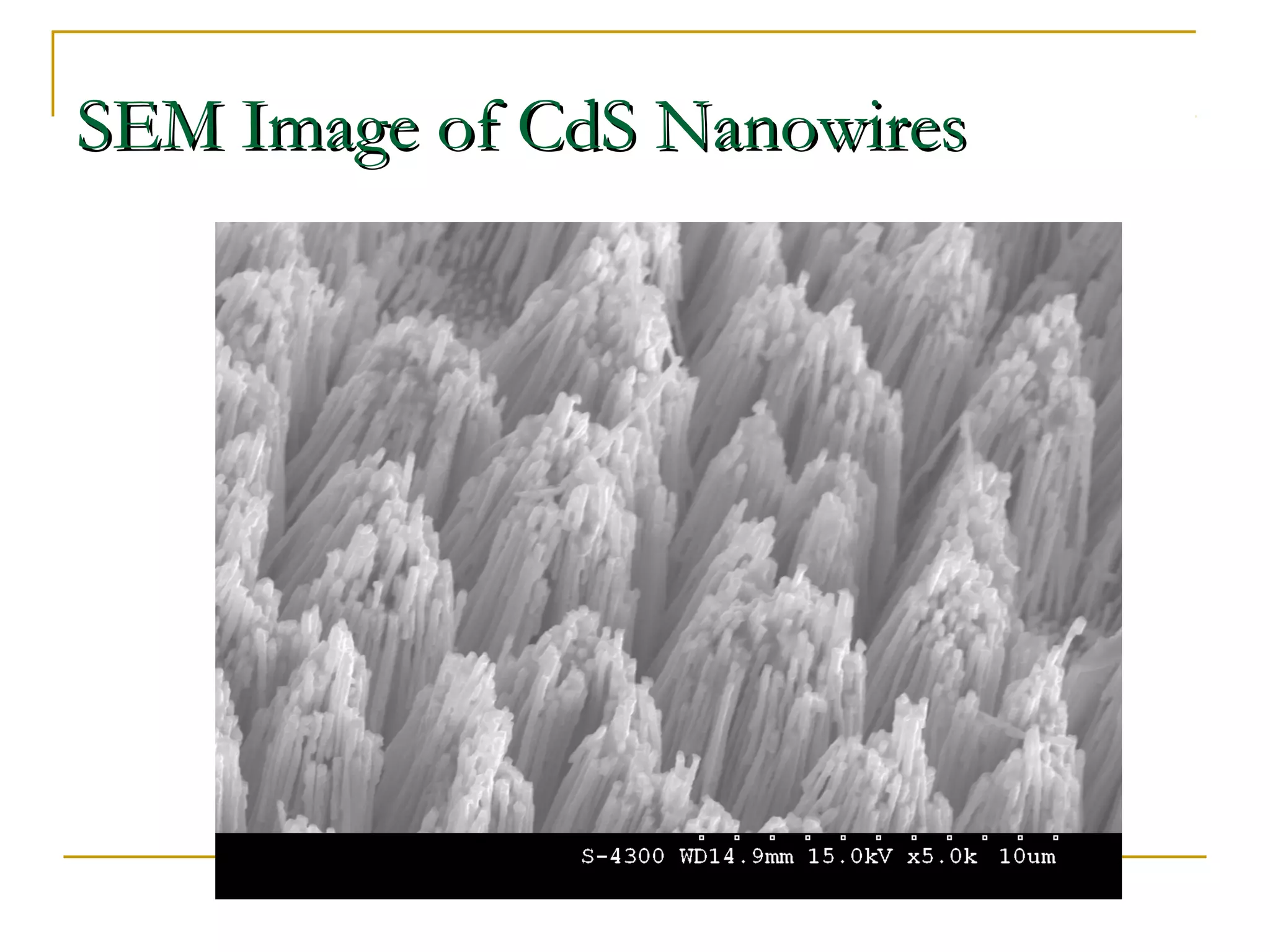 SSEEMM IImmaaggee ooff CCddSS NNaannoowwiirreess 
 