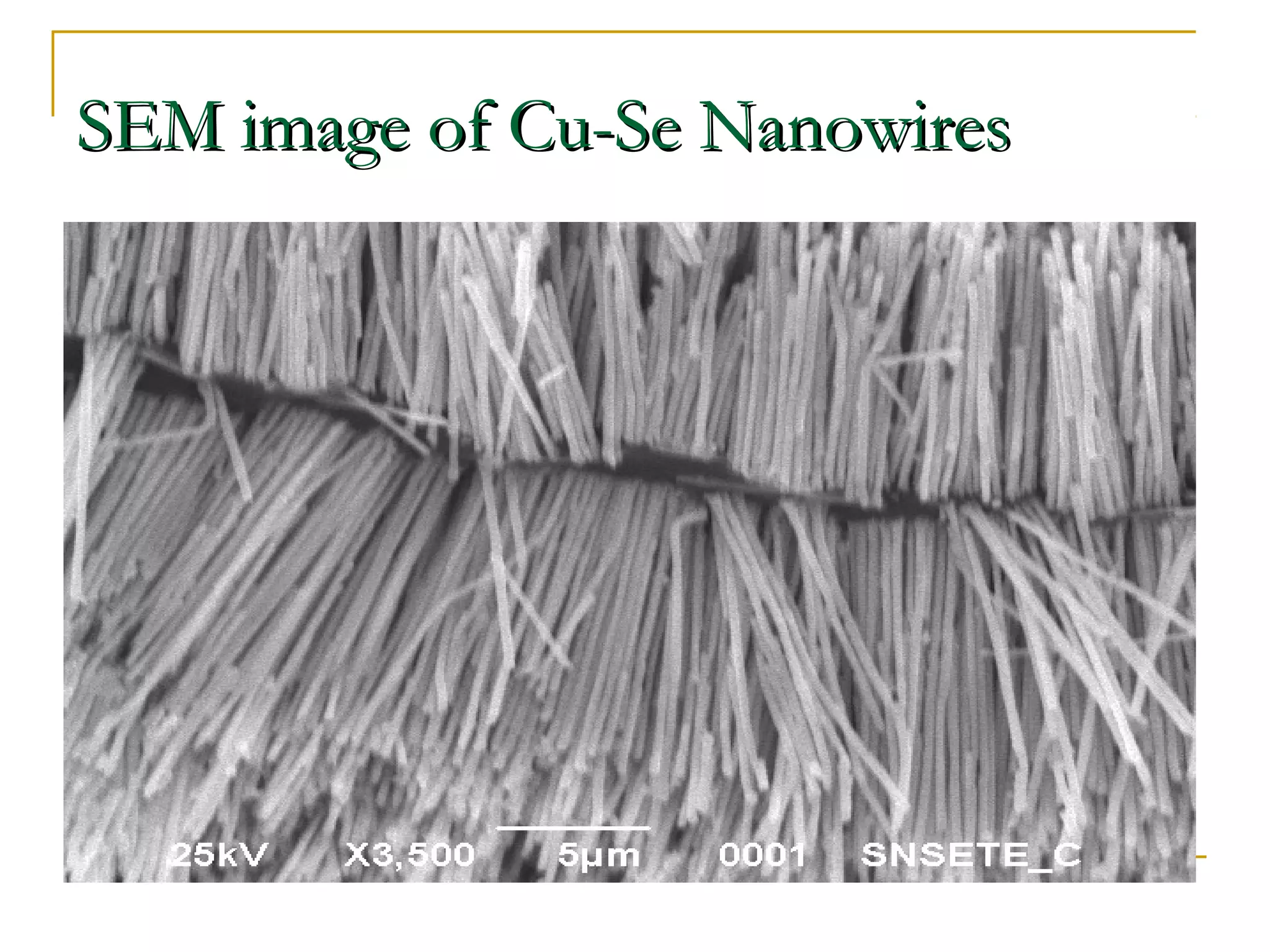 SSEEMM iimmaaggee ooff CCuu--SSee NNaannoowwiirreess 
 