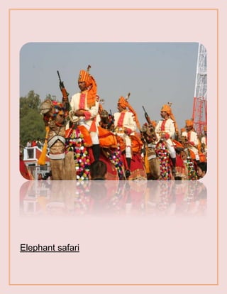 Elephant safari
 