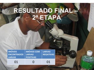 RESULTADO FINAL –  2ª ETAPA IMÓVEIS  ENCONTRADOS LARVAS IMÓVEIS COM LARVAS POSITIVAS LARVAS  NEGATIVAS 01 0 01 