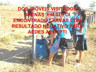 DOS IMÓVEIS VISITADOS APENAS  EM 01 FOI ENCONTRADO LARVAS COM RESULTADO  NEGATIVO  PARA AEDES AEGYPTI 