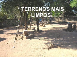 * TERRENOS MAIS LIMPOS 