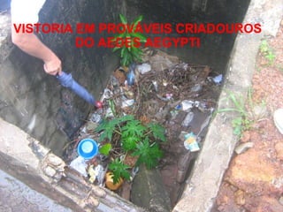 VISTORIA EM PROVÁVEIS CRIADOUROS  DO AEDES AEGYPTI  