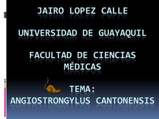 JAIRO LOPEZ CALLE

 UNIVERSIDAD DE GUAYAQUIL

   FACULTAD DE CIENCIAS
          MÉDICAS

           TEMA:
ANGIOSTRONGYLUS CANTONENSIS
 
