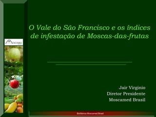 Biofábrica Moscamed Brasil 
Jair Virginio 
Diretor Presidente 
Moscamed Brasil 
O Vale do São Francisco e os índices de infestação de Moscas-das-frutas  