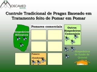 Outros
Hospedeiros
Comerciais
Pomares comerciais
Pomares
Abandonados
Hospedeiros
Silvestres
Hospedeiros
de fundo de
Quintal
Controle Tradicional de Pragas Baseado em
Tratamento feito de Pomar em Pomar
 