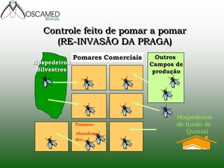 Outros
Campos de
produção
Pomares Comerciais
Pomares
Abandona
dos
Hospedeiros
Silvestres
Hospedeiros
de fundo de
Quintal
Controle feito de pomar a pomar
(RE-INVASÃO DA PRAGA)
 