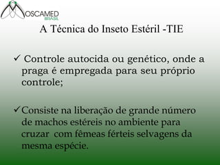 A Técnica do Inseto Estéril -TIE
 Controle autocida ou genético, onde a
praga é empregada para seu próprio
controle;
Consiste na liberação de grande número
de machos estéreis no ambiente para
cruzar com fêmeas férteis selvagens da
mesma espécie.
 