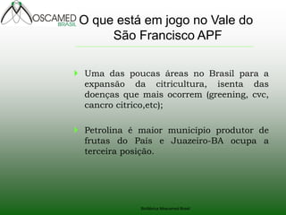 Biofábrica Moscamed Brasil
 Uma das poucas áreas no Brasil para a
expansão da citricultura, isenta das
doenças que mais ocorrem (greening, cvc,
cancro citrico,etc);
 Petrolina é maior município produtor de
frutas do País e Juazeiro-BA ocupa a
terceira posição.
O que está em jogo no Vale do
São Francisco APF
 