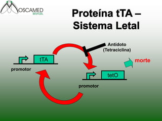 tetO
tTA
promotor
promotor
Antídoto
(Tetraciclina)
morte
 