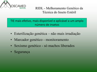 TIE mais efetivo, mais disponível e aplicável a um amplo
número de insetos
RIDL - Melhoramento Genético da
Técnica do Inseto Estéril
• Esterilização genética – não mais irradiação
• Marcador genético - monitoramento
• Sexismo genético - só machos liberados
• Segurança
 