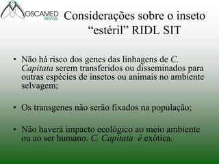Considerações sobre o inseto
“estéril” RIDL SIT
• Não há risco dos genes das linhagens de C.
Capitata serem transferidos ou disseminados para
outras espécies de insetos ou animais no ambiente
selvagem;
• Os transgenes não serão fixados na população;
• Não haverá impacto ecológico ao meio ambiente
ou ao ser humano. C. Capitata é exótica.
 