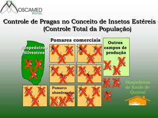 Hospedeiros 
Silvestres 
X 
X 
X X 
X 
X 
X 
X 
X 
X X 
X X X X 
X X 
X 
Outros 
campos de 
produção 
Hospedeiros 
de fundo de 
Quintal 
Pomares comerciais 
XX X X 
X X 
X 
X X 
X 
X X 
Controle de Pragas no Conceito de Insetos Estéreis 
(Controle Total da População) 
Pomares 
abandonados 
 