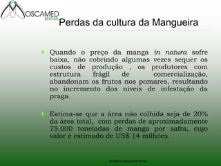 Biofábrica Moscamed Brasil 
Quando o preço da manga in natura sofre baixa, não cobrindo algumas vezes sequer os custos de produção , os produtores com estrutura frágil de comercialização, abandonam os frutos nos pomares, resultando no incremento dos níveis de infestação da praga. 
Estima-se que a área não colhida seja de 20% da área total, com perdas de aproximadamente 75.000 toneladas de manga por safra, cujo valor é estimado de US$ 14 milhões. 
Perdas da cultura da Mangueira  