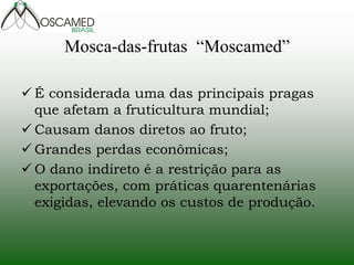 Mosca-das-frutas “Moscamed” 
É considerada uma das principais pragas que afetam a fruticultura mundial; 
Causam danos diretos ao fruto; 
Grandes perdas econômicas; 
O dano indireto é a restrição para as exportações, com práticas quarentenárias exigidas, elevando os custos de produção.  