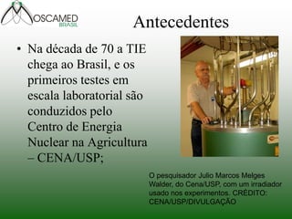 Antecedentes 
•Na década de 70 a TIE chega ao Brasil, e os primeiros testes em escala laboratorial são conduzidos pelo Centro de Energia Nuclear na Agricultura – CENA/USP; 
O pesquisador Julio Marcos Melges Walder, do Cena/USP, com um irradiador usado nos experimentos. CRÉDITO: CENA/USP/DIVULGAÇÃO  