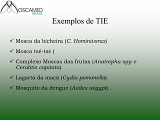 Exemplos de TIE 
Mosca da bicheira (C. Hominivorax) 
Mosca tsé-tsé ( 
Complexo Moscas das frutas (Anatrepha spp e Ceratitis capitata) 
Lagarta da maçã (Cydia pomonella) 
Mosquito da dengue (Aedes aegypt) .  