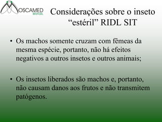 Considerações sobre o inseto “estéril” RIDL SIT 
•Os machos somente cruzam com fêmeas da mesma espécie, portanto, não há efeitos negativos a outros insetos e outros animais; 
•Os insetos liberados são machos e, portanto, não causam danos aos frutos e não transmitem patógenos.  