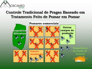 Hospedeiros 
Silvestres 
X 
X 
X X 
X 
X 
X 
X 
X 
X X 
X X X X Pomares 
abandonados 
X X 
X 
Outros 
campos de 
produção 
Hospedeiros 
de fundo de 
Quintal 
Pomares comerciais 
Controle Tradicional de Pragas Baseado em 
Tratamento Feito de Pomar em Pomar 
 