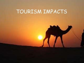 TOURISM IMPACTS
 