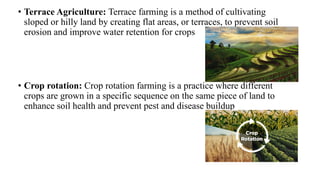 • Terrace Agriculture: Terrace farming is a method of cultivating
sloped or hilly land by creating flat areas, or terraces, to prevent soil
erosion and improve water retention for crops
• Crop rotation: Crop rotation farming is a practice where different
crops are grown in a specific sequence on the same piece of land to
enhance soil health and prevent pest and disease buildup
 